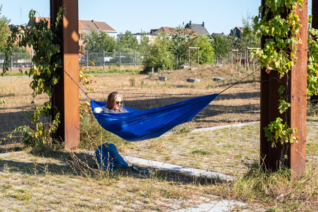 Hangjongeren worden ook groot