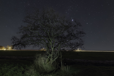 Orion achter een Zwarte `Els