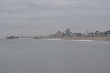 Pier van Schevingen op een heiige dag