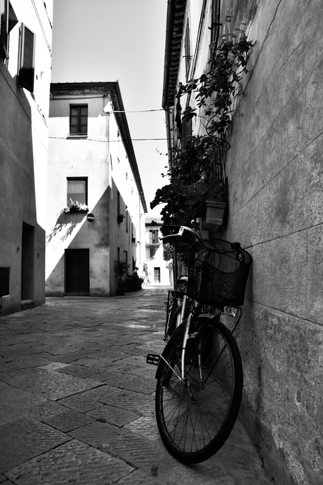 Lonely bike