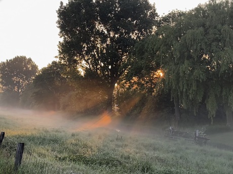 Witte wieven