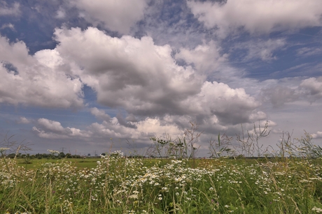 Hollandse luchten