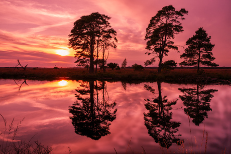 Sunset is never boring 