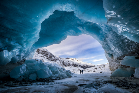 Portal to a Vanishing World