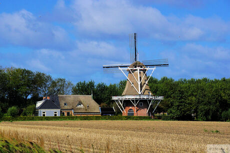 Molen