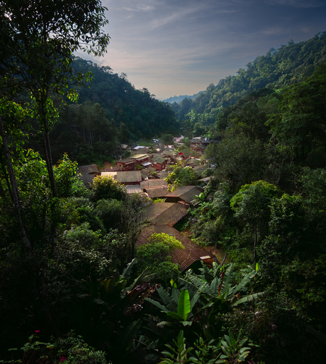 forest village