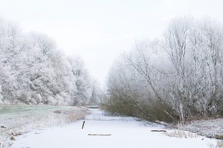 Winter in leeuwarden