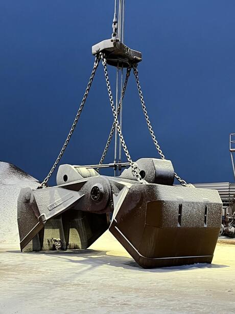 Kolengrijper in de sneeuw