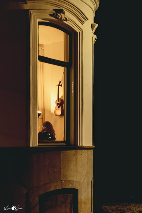 The guitar