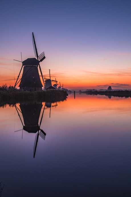 Ormon yolida otayotgan qizlarga butalar ichida onanizm Jessi Rojers bilan jinsiy aloqa