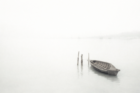 Stilte in de mist