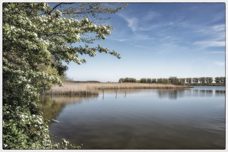Dijkwater