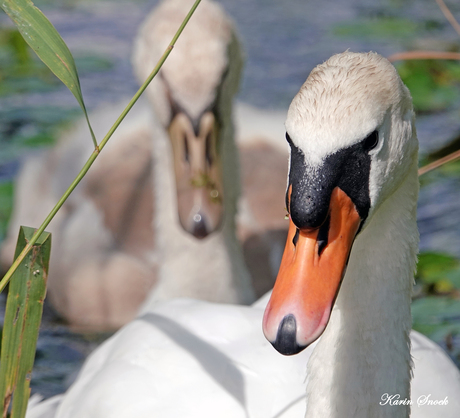 "Together on the move..."