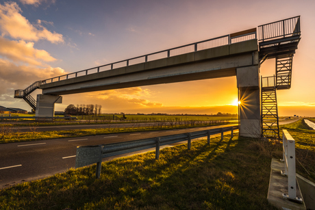 Golden bridge