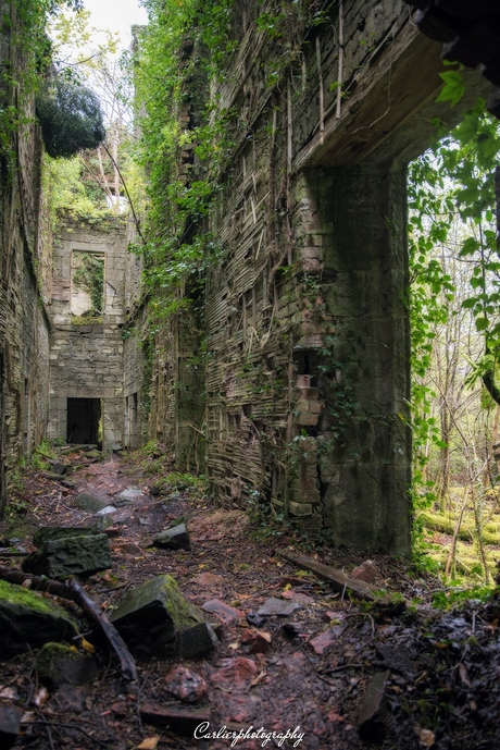 Begroeid doolhof wat ooit een kasteel was