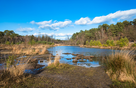 Landschap Brunssummerheide Heerlen