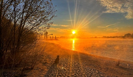 Zonsopkomst aan de waal