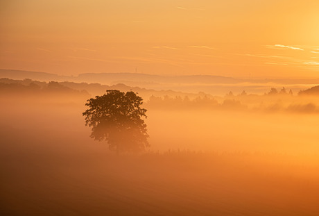 Mistige zonsopgang