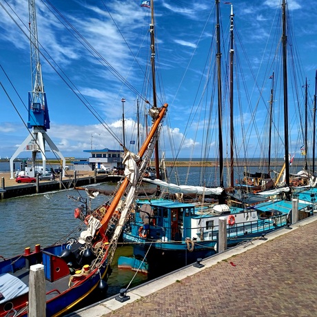 Bruine Vloot Harlingen.