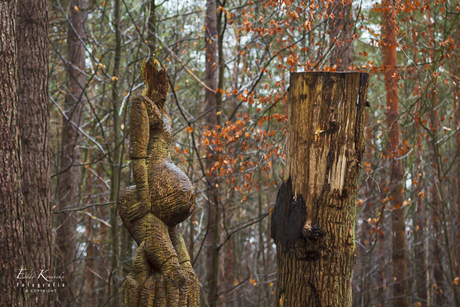 Zwangere vrouw in het bos. 