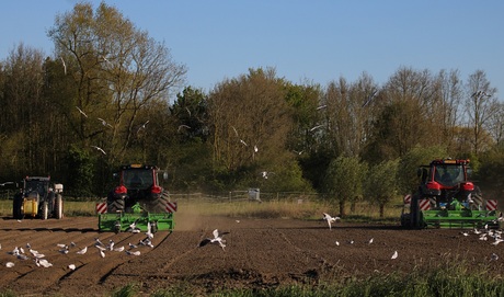 Druk......................