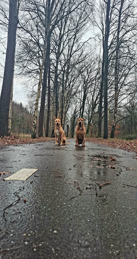 Door weer en wind