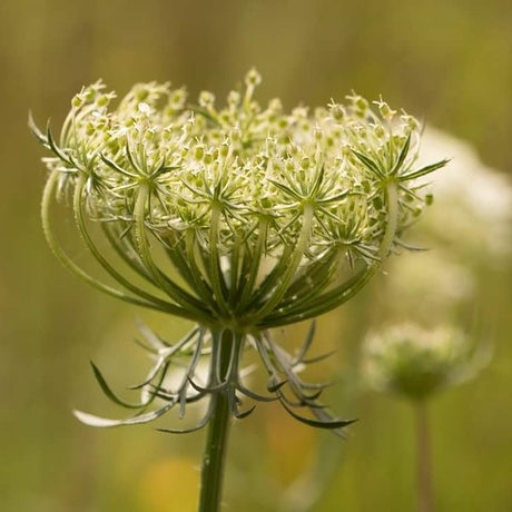 Natuur