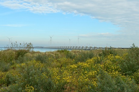 Herfst in Zeeland