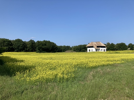 Mooi wonen