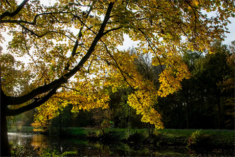 Langs de Klopvaart Utrecht