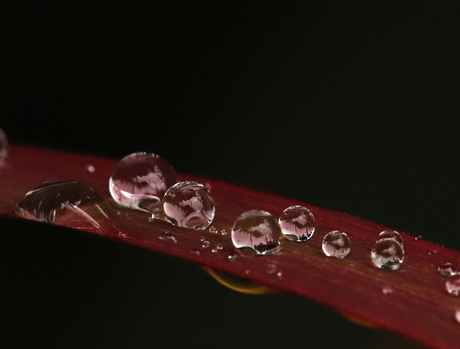 Na regen 