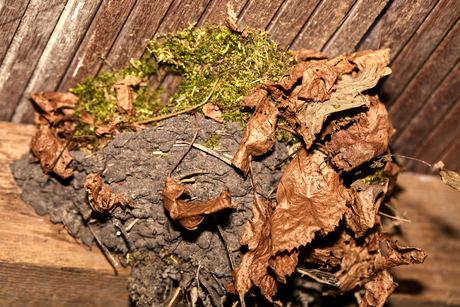 Welke bezoeker hoort hier thuis?