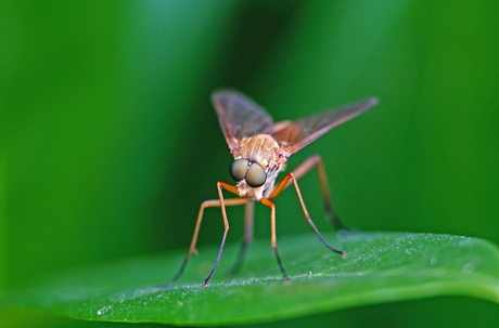 Wie kijkt wie nu aan ??