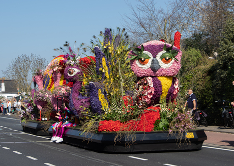 Bloemencorso