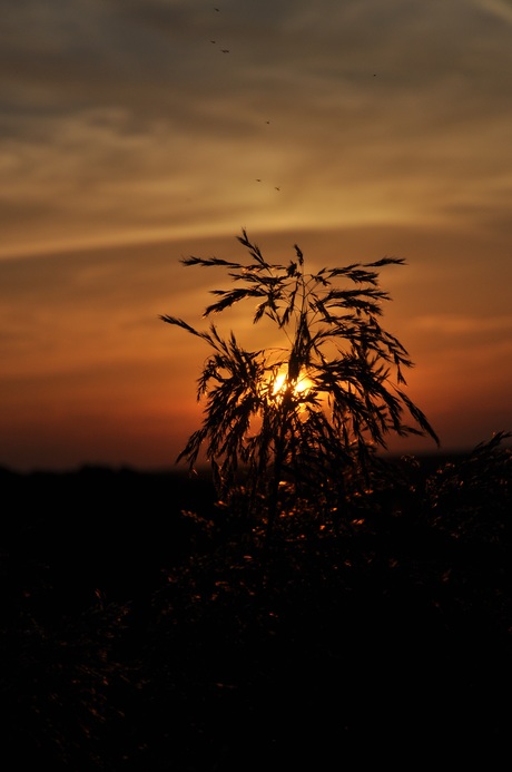 Zonsondergang 