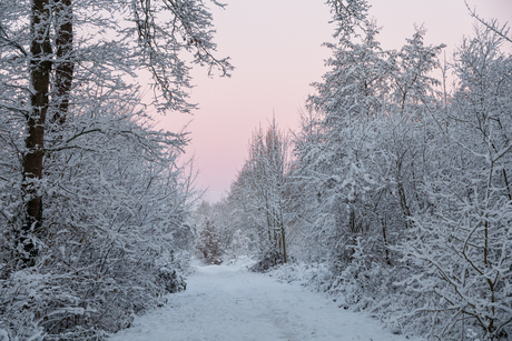 Zonsopkomst in de sneeuw
