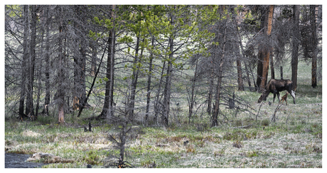 Tijd Voor Een Slokje