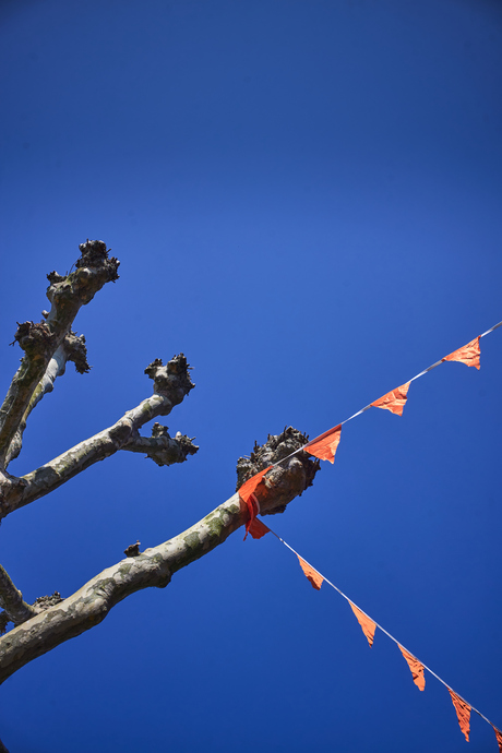 Vlaggetjes, Oudewater