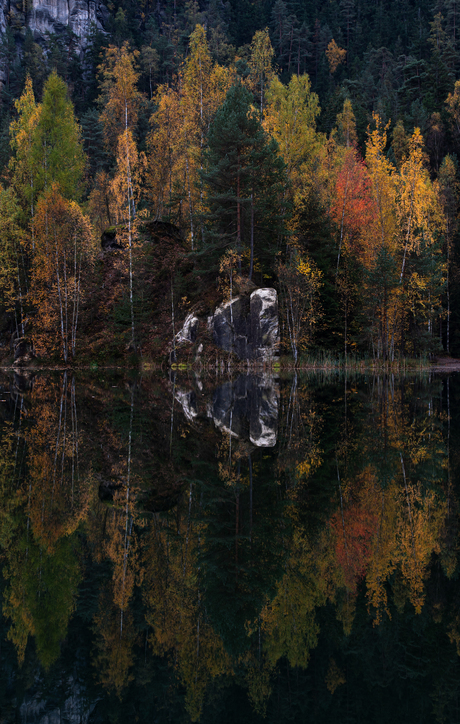 Fall reflections