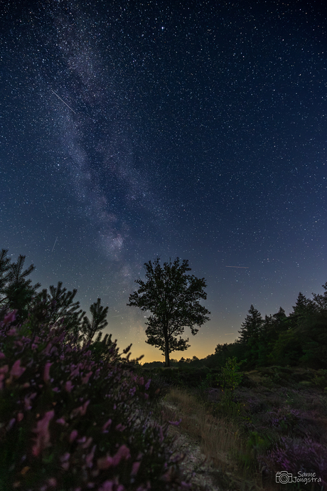 Melkweg op de heide