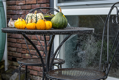 Uit eigen tuin