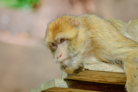 hou alles in de gaten wat die twee daar doen