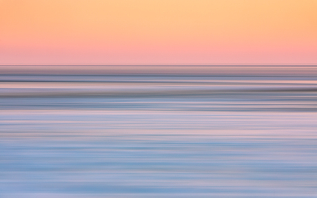 Waddenzee in beweging