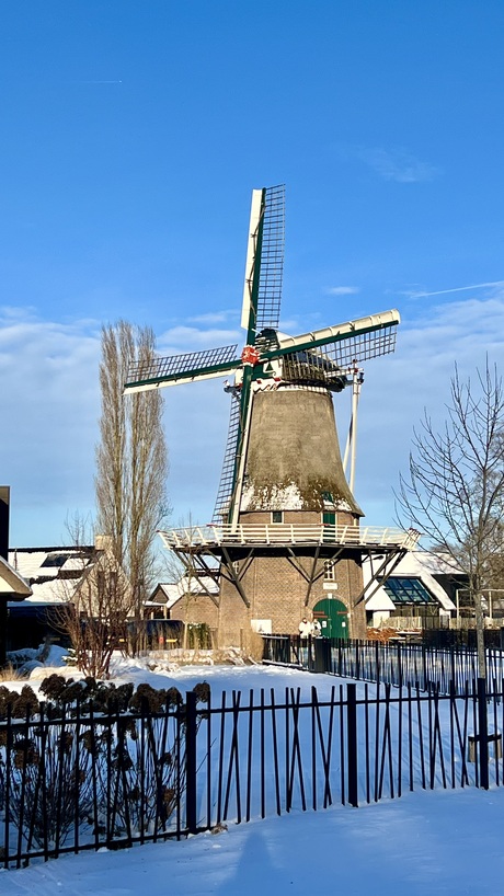 Molen in de sneeuw 