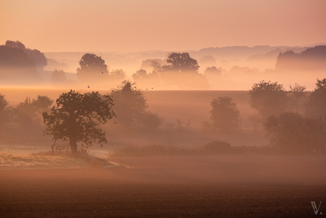 Gouden Osnabrücker Land