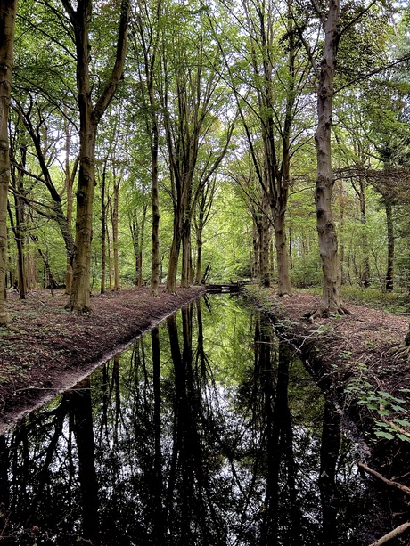 Spiegeltje spiegeltje 