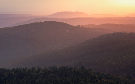 Layers of the Vosges