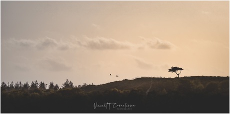 Skyline Terschelling 