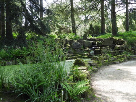 Oosterse tuin in Arcen