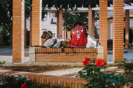 Matchend door het leven